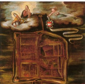 Pittore emiliano del XVII sec., Pianta di Correggio