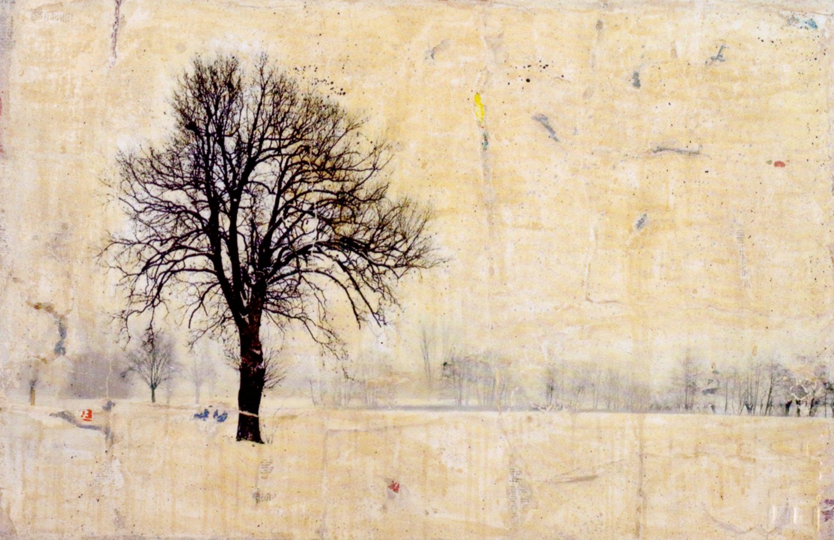 hyena, albero, 80x120, 2010 arch. 1008 per mail