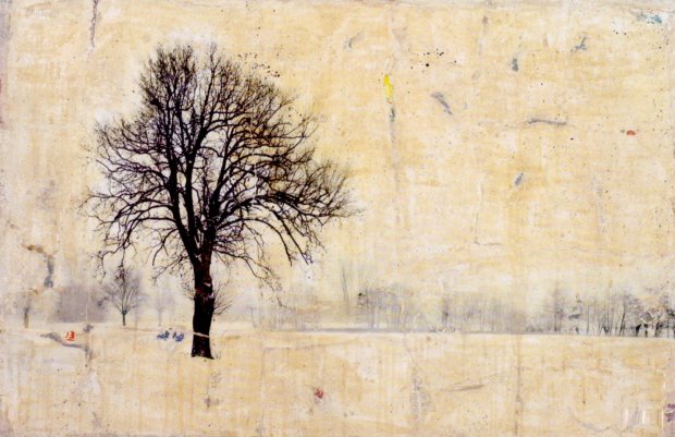 hyena, albero, 80x120, 2010 arch. 1008 per mail